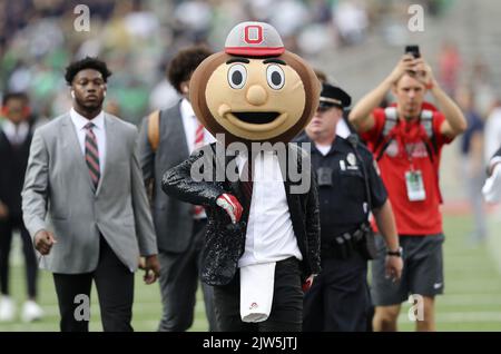 Columbus, États-Unis. 03rd septembre 2022. La mascotte des Buckeye de l'État de l'Ohio Brutus Buckeye arrive samedi à 3 septembre 2022 pour le match des Buckees contre les Irlandais de notre Dame Fighting. Photo par Aaron Josefczyk/UPI crédit: UPI/Alay Live News Banque D'Images