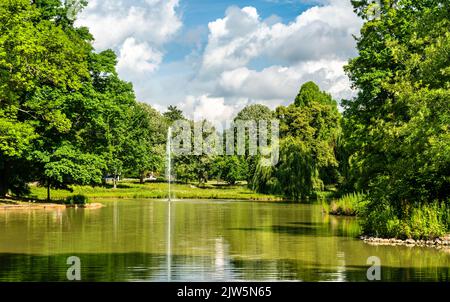 Lac Swan à Bad Homburg vor der Hoehe près de Francfort, Allemagne Banque D'Images