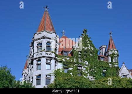 Vue rapprochée du bâtiment collégial couvert de lierre avec un style gothique orné Banque D'Images
