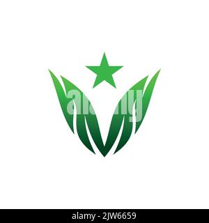 logo en forme d'étoile vert représentant un motif vectoriel Illustration de Vecteur