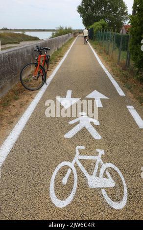 vélo sur la piste cyclable dans la plaine et le symbole blanc dessiné sur l'asphalte Banque D'Images