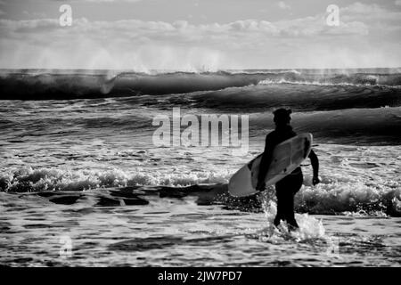 Surfeurs profitant des vagues à la plage de sable de Gwithian Cornwall. Noir et blanc. Banque D'Images