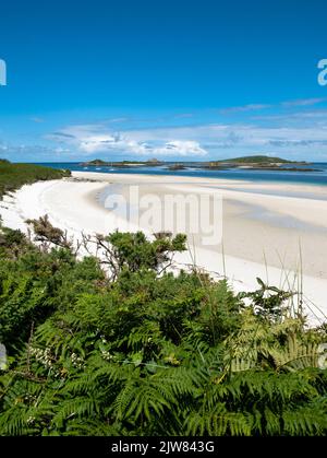 Plage de sable blanc, Blockhouse point, Tresco, îles de Scilly, Cornouailles, Angleterre, Royaume-Uni. Banque D'Images