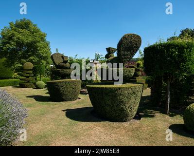 Topiaire dans les jardins, Prieuré de Felley, Nottingham, Notinghamshire, Angleterre, ROYAUME-UNI. Banque D'Images