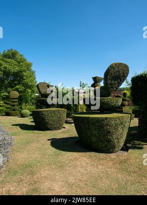 Topiaire dans les jardins, Prieuré de Felley, Nottingham, Notinghamshire, Angleterre, ROYAUME-UNI. Banque D'Images