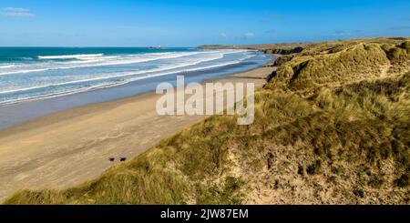 Les superbes dunes de sable de la plage de Gwithian à Hayle. S'assoit dans les herbes et les roseaux des dunes surplombant la plage de sable doré pendant que la mer bleue roule. Banque D'Images