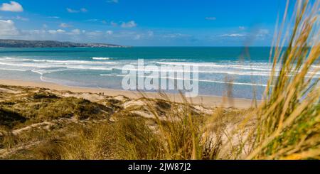 Les superbes dunes de sable de la plage de Gwithian à Hayle. S'assoit dans les herbes et les roseaux des dunes surplombant la plage de sable doré pendant que la mer bleue roule. Banque D'Images