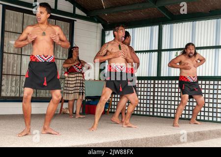 Des danseurs maoris vêtus de leur robe de danse traditionnelle lors d’un concert de danse culturelle qui présente le Haka pour les visiteurs qui visitent le seul pays vivant de la Nouvelle-Zélande Banque D'Images