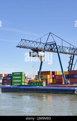 Rotterdam, pays-Bas - août 2022 : grande grue mobile soulevant des conteneurs d'expédition d'une barge industrielle sur la rivière près de Rotterdam Banque D'Images