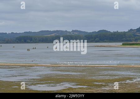 Chew Valley, Royaume-Uni. 04th septembre 2022. Un après-midi très humide, le lac de la vallée de Chew, une fois rempli d'eau, montre maintenant des signes de manque d'eau de pluie. Crédit photo : Robert Timoney/Alay Live News Banque D'Images