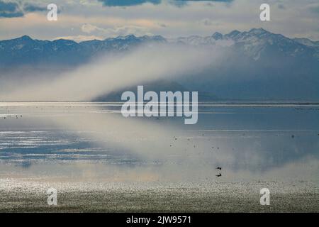 Une journée venteuse sur l'île Antelope dans le Grand lac Salt, Utah. Banque D'Images