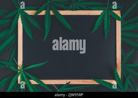Vide noir avec des feuilles de cannabis sur fond noir, les feuilles de la plante de cannabis sont riches en antioxydants, polyphénols et antibiotiques, ainsi que W Banque D'Images