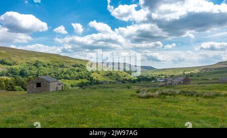 Vue depuis Bouldershaw Lane d'Arkengarthdale sur l'arrière de Tan Hill en direction de Reeth, Swaledale, Yorkshire Dales National Park, Royaume-Uni Banque D'Images