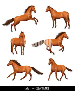 Réaliste. Chevaux galopants sauvages exécution rapide différentes actions pose décent vecteur illustrations ensemble Illustration de Vecteur