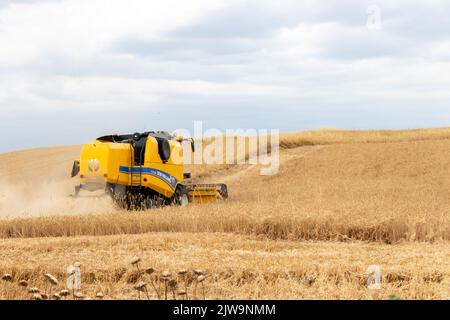 La moissonneuse-batteuse récolte du blé mûr. Thème de l'agriculture et des machines agricoles. Ismaili - Azerbaïdjan Banque D'Images
