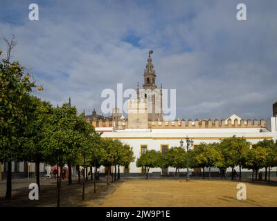 Patio de Banderas, Reales Alcazares de Sevilla Banque D'Images