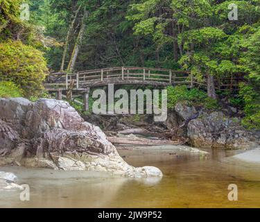 Un sentier à travers la forêt mène à ce pont qui traverse un petit ruisseau. À la fin du chemin est Tonquin Beach qui est juste à l'extérieur de Tofin Banque D'Images