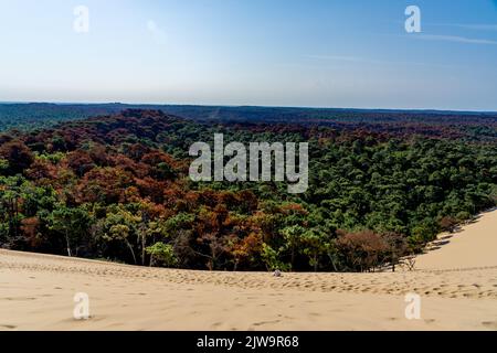 Vue panoramique sur la dune de Pyla, située dans la baie d'Arcachon en Aquitaine. Photo de haute qualité Banque D'Images