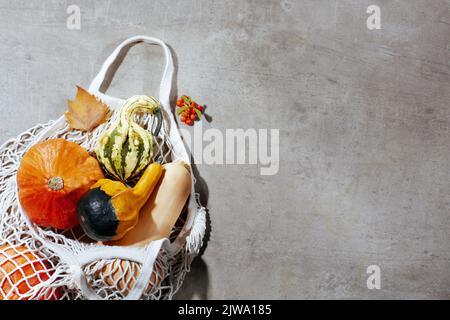 les plats d'automne reposent sur un fond gris avec des citrouilles, des feuilles d'automne, un sac écologique et pyracantha. Banque D'Images