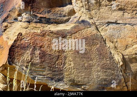 L'art rupestre des pétroglyphes dans le site archéologique de Legend Rock State, Wyoming - plusieurs formes anthropomorphes sculptées et en toto sont visibles Banque D'Images