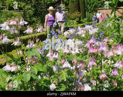 LES VISITEURS DE L'ABBAYE DE MOTTISFONT PRÈS DE ROMSEY HANTS, APPRÉCIENT LES FLEURS DANS LE JARDIN CLOS. PHOTO MIKE WALKER, 2013 PHOTOS DE MIKE WALKER Banque D'Images