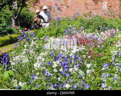 LES VISITEURS DE L'ABBAYE DE MOTTISFONT PRÈS DE ROMSEY HANTS, APPRÉCIENT LES FLEURS DANS LE JARDIN CLOS. PHOTO MIKE WALKER, 2013 PHOTOS DE MIKE WALKER Banque D'Images