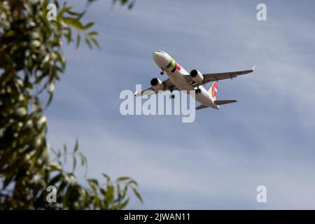 Lisbonne, Portugal. 2nd septembre 2022. L'avion DE TAP Air Portugal a atterri à Lisbonne. (Image de crédit : © Rita Franca/SOPA Images via ZUMA Press Wire) Banque D'Images