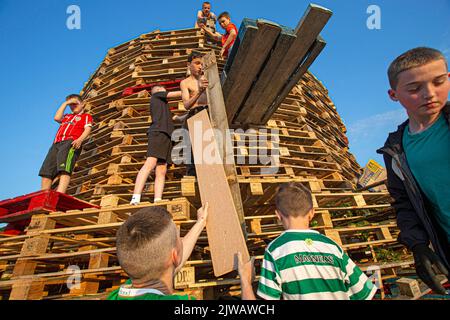 Les enfants empilent des palettes pendant le week-end en vue du feu de joie marquant un jour de fête catholique de l'Assomption de la Vierge Marie dans le Bogside. Banque D'Images