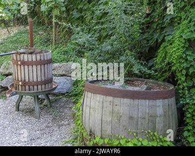 Vieux tonneau en bois et presse à vin dans un jardin avec beaucoup de vert en croissance Banque D'Images