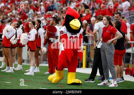 Madison, WI, États-Unis. 3rd septembre 2022. La mascotte des Redbirds de l'État de l'Illinois, Reggie Redbird, pendant le match de football de la NCAA entre les Redbirds de l'État de l'Illinois et les Badgers du Wisconsin au Camp Randall Stadium de Madison, WISCONSIN. Darren Lee/CSM/Alamy Live News Banque D'Images