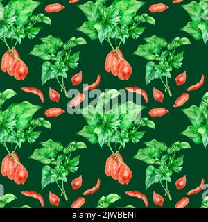 Motif sans couture de broussailles de patates douces illustration aquarelle isolée. Batata de légumes crus, plantes de jardin, tige avec feuillage peint à la main. Conception Banque D'Images