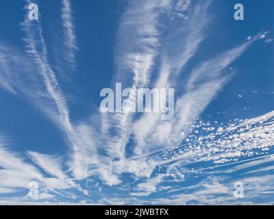 Avions à réaction de haute altitude qui s'entremêlent avec des nuages d'Altocumulus (faible contraste) - sud-Touraine, Indre-et-Loire (37), France. Banque D'Images