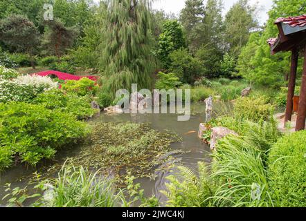 Vue sur un jardin botanique avec un pont et un étang par une journée ensoleillée Banque D'Images