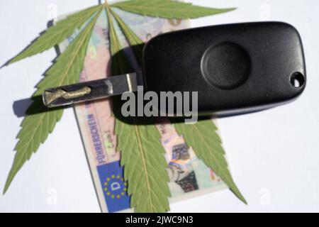 Feuille de cannabis avec clés de voiture et permis de conduire Banque D'Images