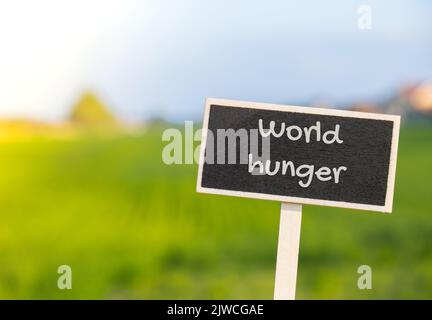 Panneau d'étiquette d'information en bois avec texte FAIM DANS LE MONDE contre l'agriculture défoquée message de terrain. Faim dans le monde, inflation, prix élevés, crise du blé augmentation des dépenses de vie et de la pauvreté, crise financière, question de l'approvisionnement alimentaire concept illustrant la pénurie alimentaire causée par la guerre, les changements climatiques, les plus grands exportateurs de céréales Banque D'Images