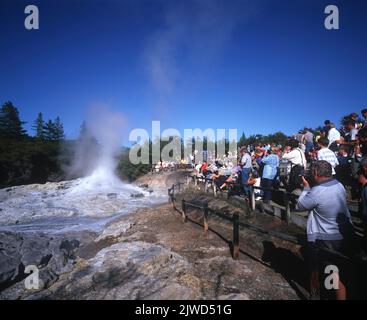 Wai O Tapu et Lady KNOX Geyser, Rotorua, Île du Nord, Nouvelle-Zélande, crédit : Jeny McMillan / Avalon Banque D'Images