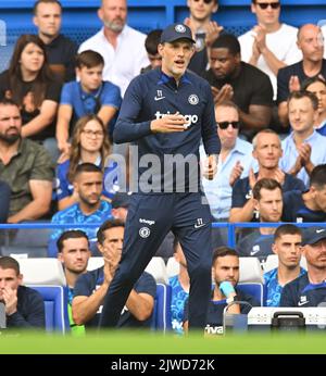 03 sept 2022 - Chelsea v West Ham United - Premier League - Stamford Bridge Chelsea Manager Thomas Tuchel pendant le match au Stamford Bridge photo : Mark pain / Alay Live News Banque D'Images
