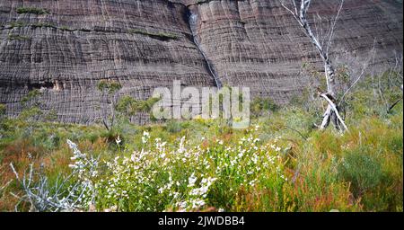 Parc national des Grampians, Victoria, Australie, sentier de randonnée de Briggs Bluff. Banque D'Images