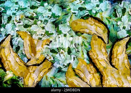 Aquarelle peinte, arrière-plan aquarelle abstrait, illustration vectorielle Illustration de Vecteur