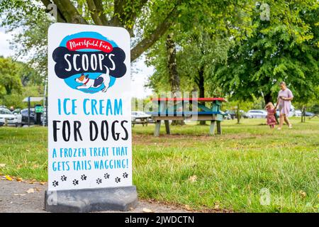 Gros plan du panneau dans le parc public britannique vendant la glace Scoop's spécialement conçue pour les chiens ! Banque D'Images