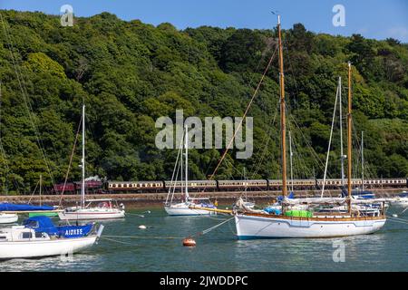 Ligne de chemin de fer du patrimoine de Dartmouth avec un train à vapeur longeant la rivière Dart et les bateaux amarrés en premier plan. Banque D'Images