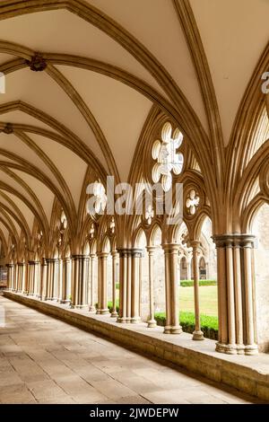 Cloîtres de la cathédrale de Salisbury, Salisbury, Wiltshire, Angleterre Banque D'Images