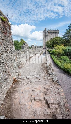 Château et jardins de Blarney, Blarney, Co. Cork, Banque D'Images