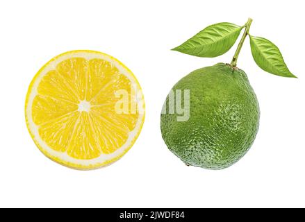 Citron vert frais et citron isolé sur fond blanc. Agrumes et fruits tropicaux Banque D'Images