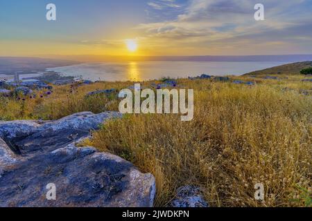 Vue au lever du soleil sur la mer de Galilée, depuis le mont Arbel (côté ouest). Nord d'Israël. Avec fleurs sauvages Banque D'Images