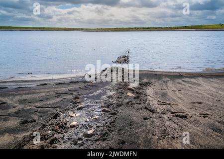 Les restes d'une vieille haie cornouailles exposées par la chute des niveaux d'eau causée par de graves conditions de sécheresse au réservoir du lac Colliford, sur Bodmin Moor In Banque D'Images