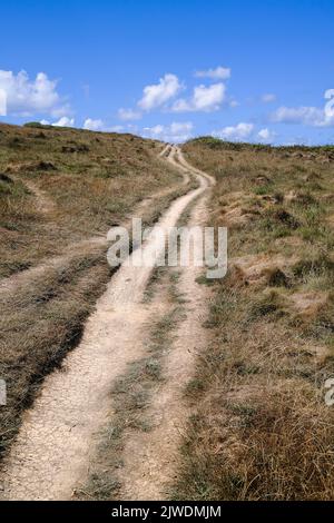 Sentier érodé sur le Warren, à Pentire point East, à Newquay, en Cornouailles, au Royaume-Uni. Banque D'Images