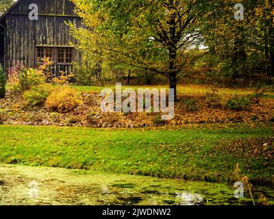 ancienne hutte en bois noir sur une arrière-cour d'une ferme de campagne en automne de saison de feuillage doré Banque D'Images