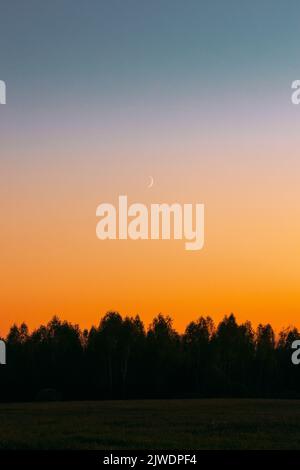 Coucher de soleil et lune au-dessus de la forêt. Arrière-plan spectaculaire au coucher du soleil. Croissant au-dessus des arbres. Nuit à venir. Coloris bleu vif et orange. Photo verticale Banque D'Images