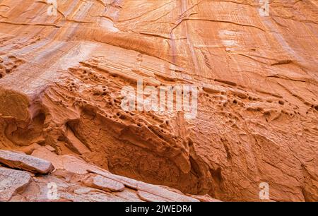 Nid d'abeille sur un mur du canyon dans le monument national Grand Staircase-Escalante, Utah, États-Unis Banque D'Images